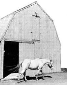 Erecting a Pole Building Image